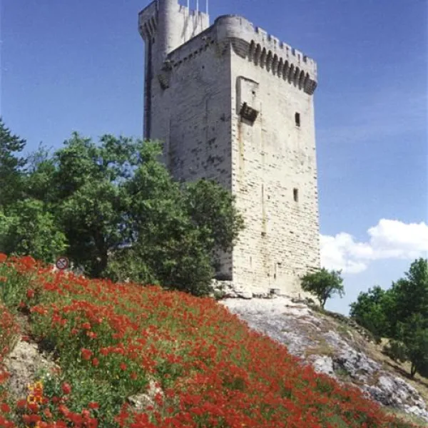 vivacamp-la-laune-villeneuve-les-avignon-q7lfo