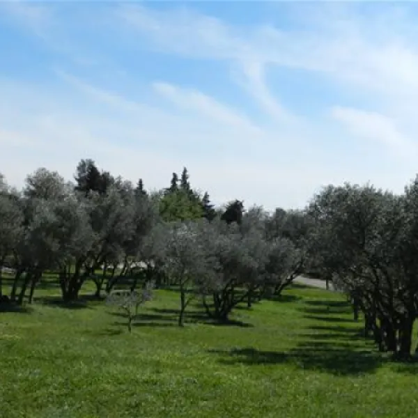 vivacamp-la-laune-villeneuve-les-avignon-zkerd