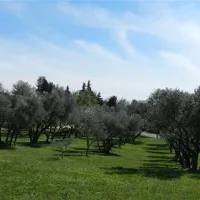vivacamp-la-laune-villeneuve-les-avignon-zkerd