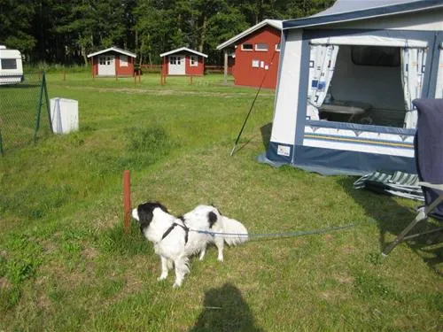 camping-kron-bellin-bellin-mdauk