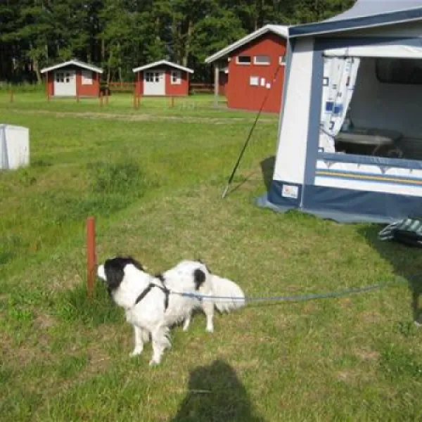 camping-kron-bellin-bellin-mdauk