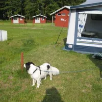 camping-kron-bellin-bellin-mdauk