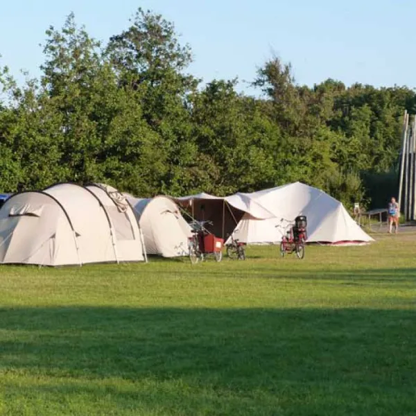natuurkampeerterrein-de-lange-paal-vlieland-od8eb