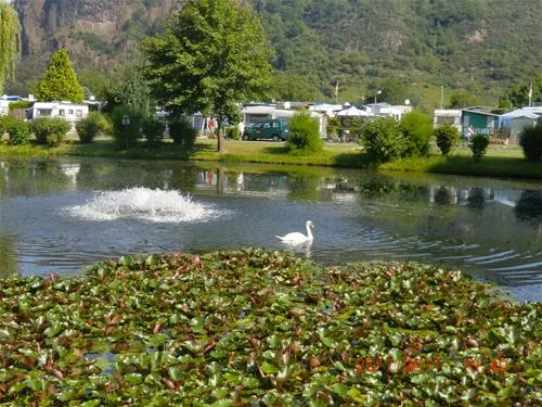 camping-goldene-meile-remagen-a5tzb