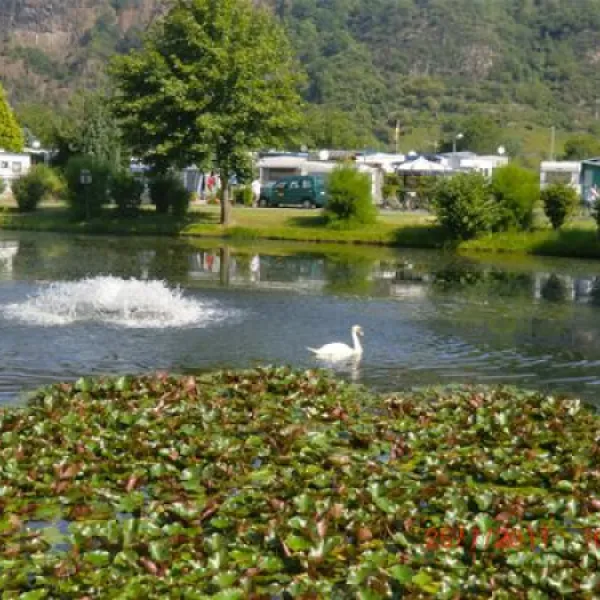 camping-goldene-meile-remagen-a5tzb