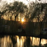 camping-goldene-meile-remagen-sawq6
