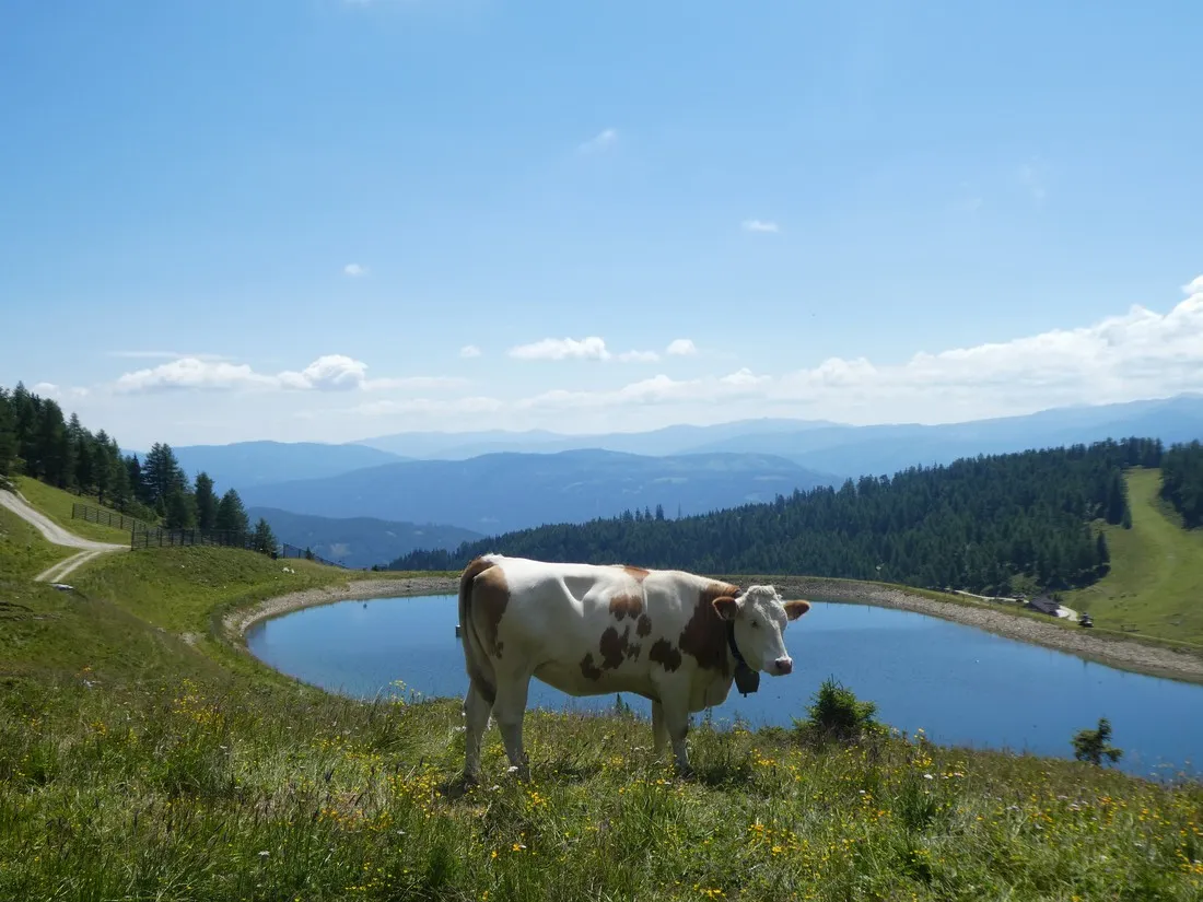 camping-mauterndorf-mauterndorf-ofrfd