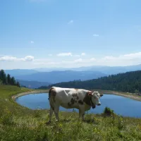 camping-mauterndorf-mauterndorf-ofrfd