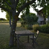 les-joncquiers-st-martin-de-castillon-io2je