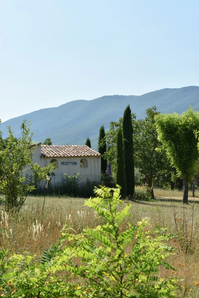 les-joncquiers-st-martin-de-castillon-jxgyx