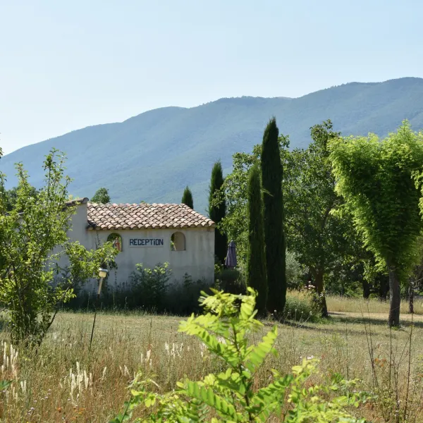 les-joncquiers-st-martin-de-castillon-jxgyx
