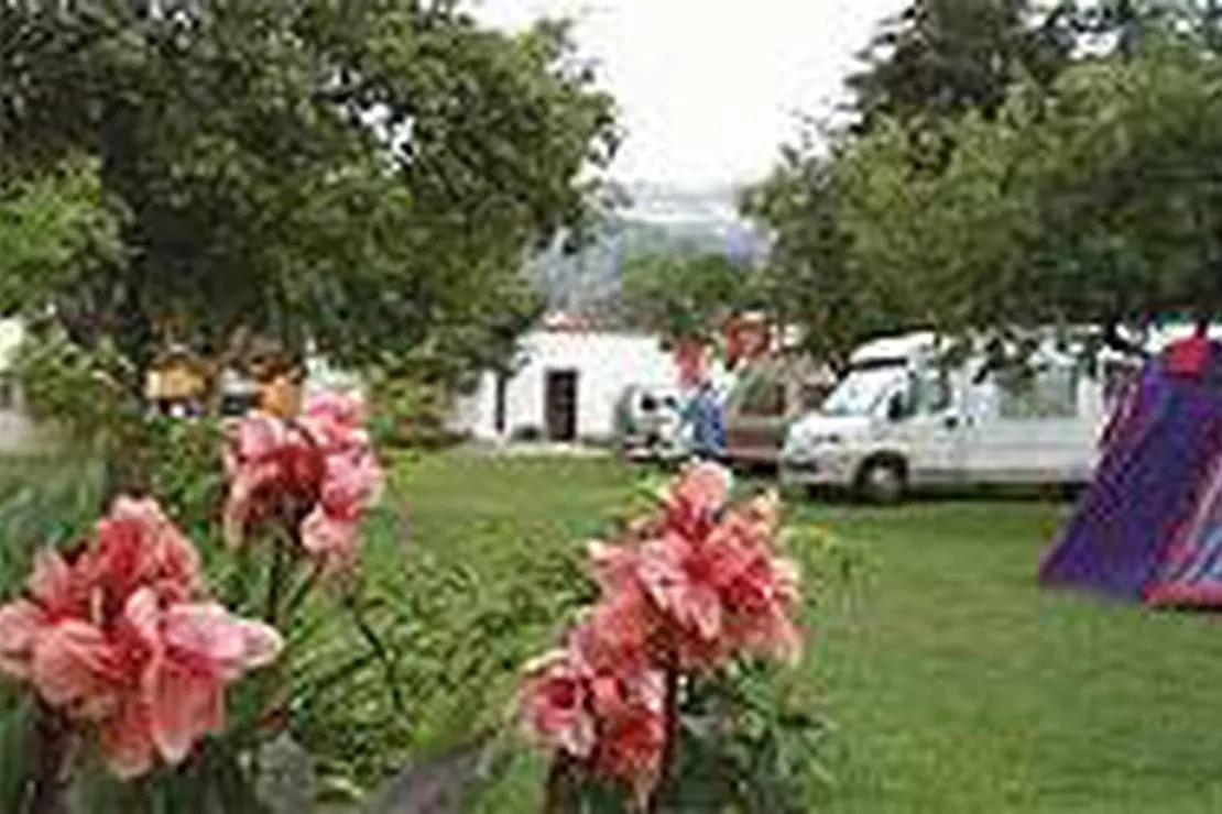 camping-raddorfl-gasthof-pichler-oberaich-ziw4s