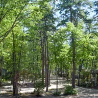 westward-shores-cottages-rv-resort-fhn50