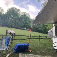 bear-run-campground-portersville-mu3rc