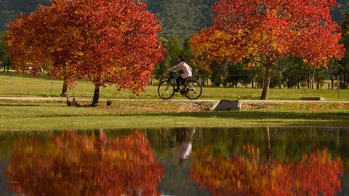 mcnamara-park-campground-broke-ph2xq