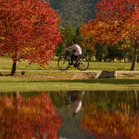 McNamara Park Campground