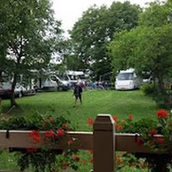 De oude walnoot
