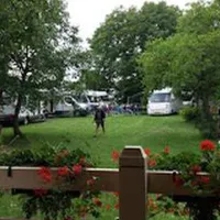 De oude walnoot