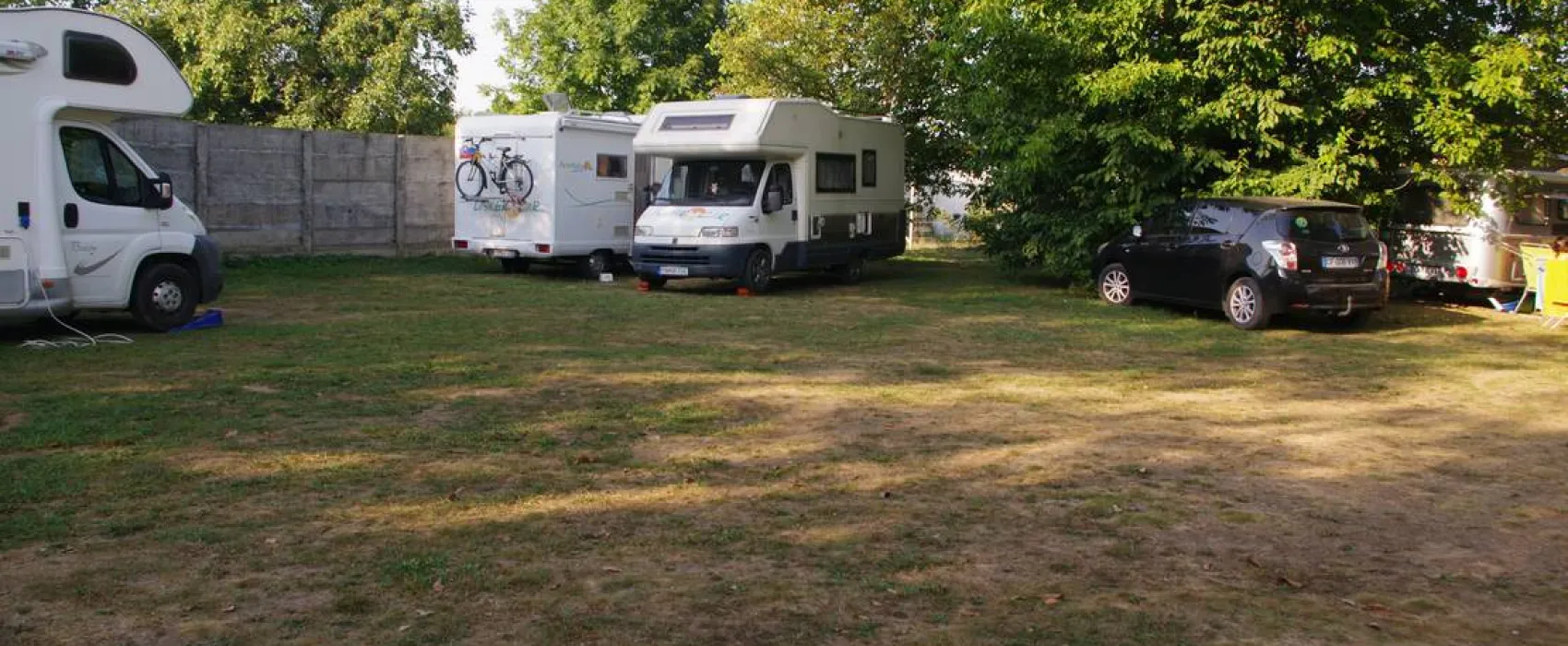 De oude walnoot