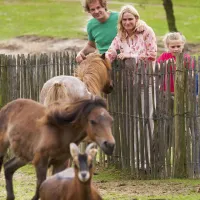 libema-vakantiepark-dierenbos-vinkel-7fgnu
