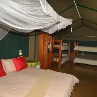 sabie-river-camp-ztxzj