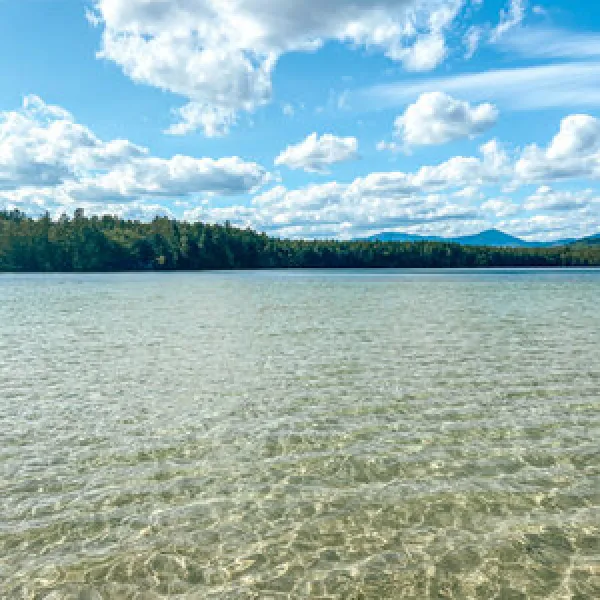 white-lake-state-park-tamworth-fvxmq