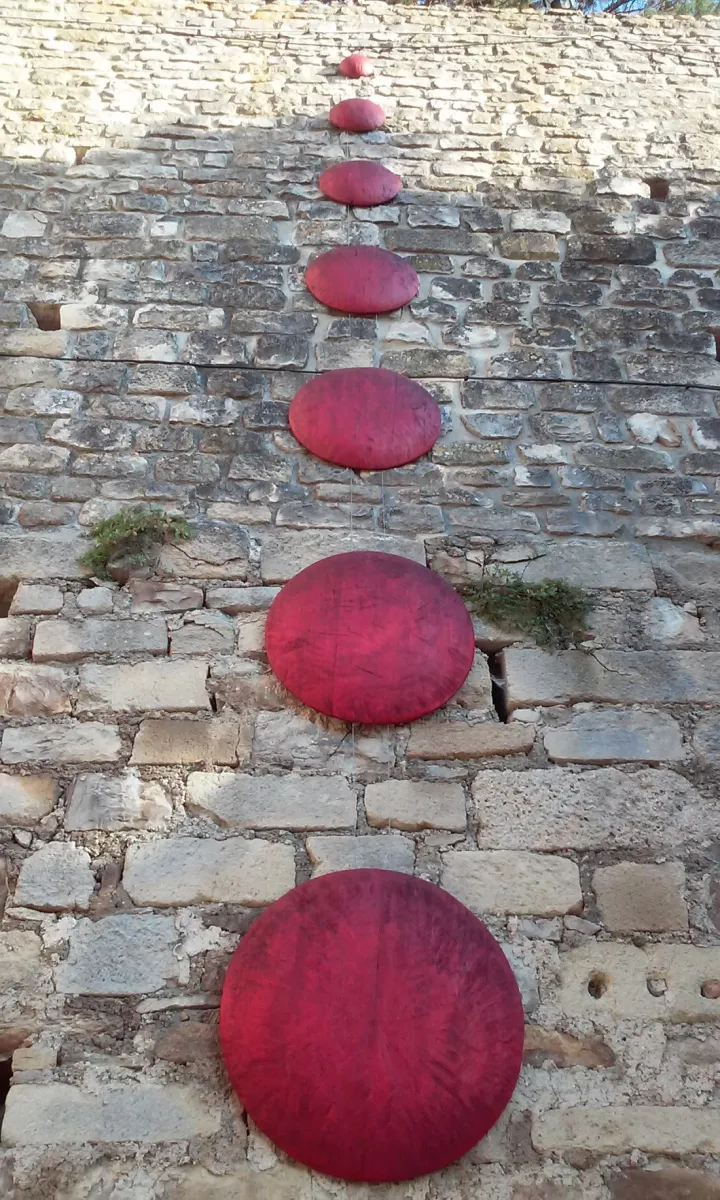 layguette-faucon-bax6a