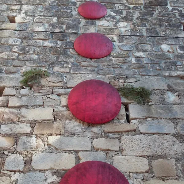 layguette-faucon-bax6a