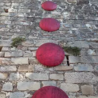 layguette-faucon-bax6a