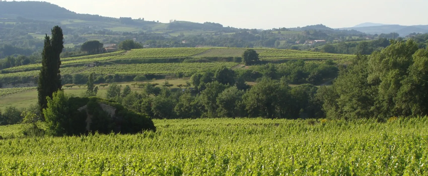 l'Ayguette