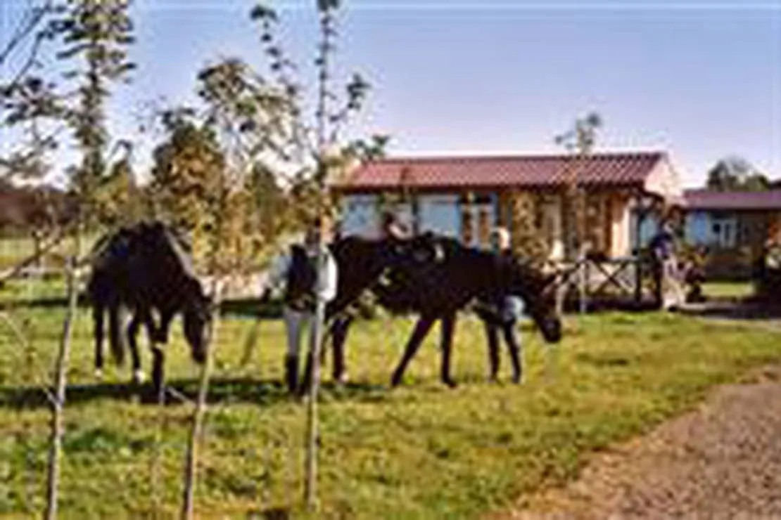 auberge-du-petit-cheval-blanc-fay-en-montagne-ygaen