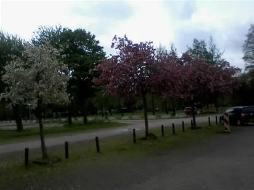budget-camping-utrecht-utrecht-xgcqv