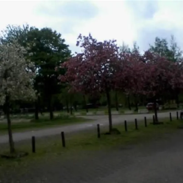 budget-camping-utrecht-utrecht-xgcqv