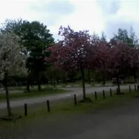 budget-camping-utrecht-utrecht-xgcqv