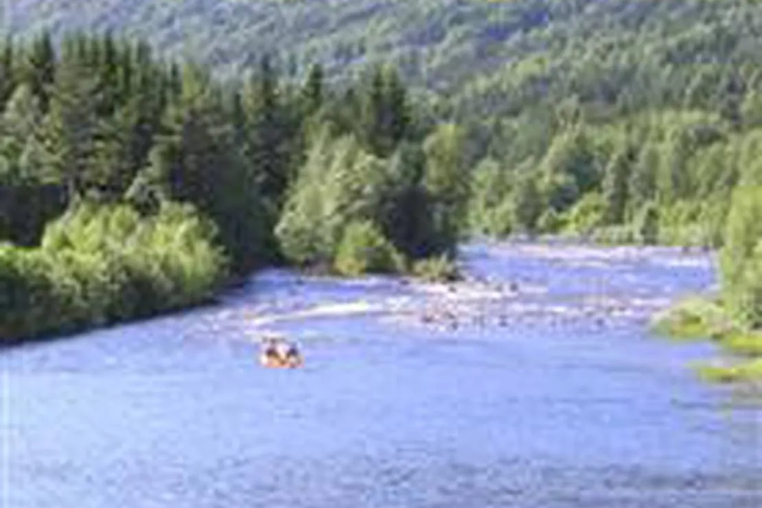 uvdal-camping-uvdal-pards