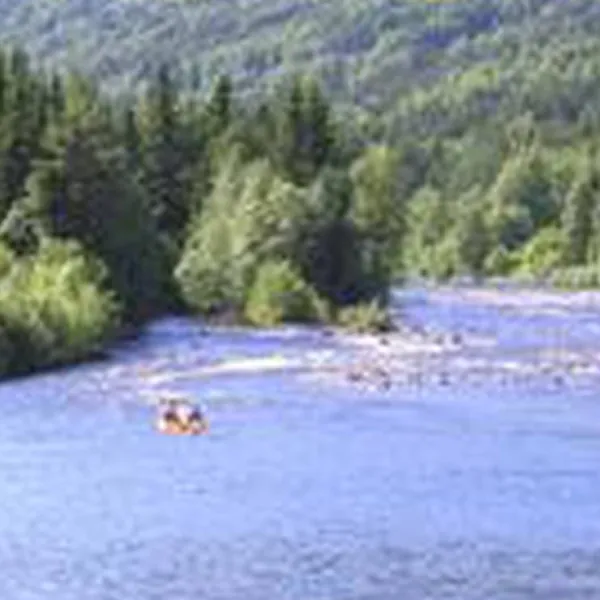 uvdal-camping-uvdal-pards