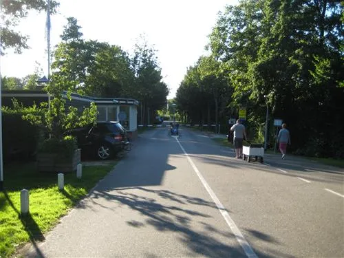 camping-de-krabbeplaat-brielle-dd3m6
