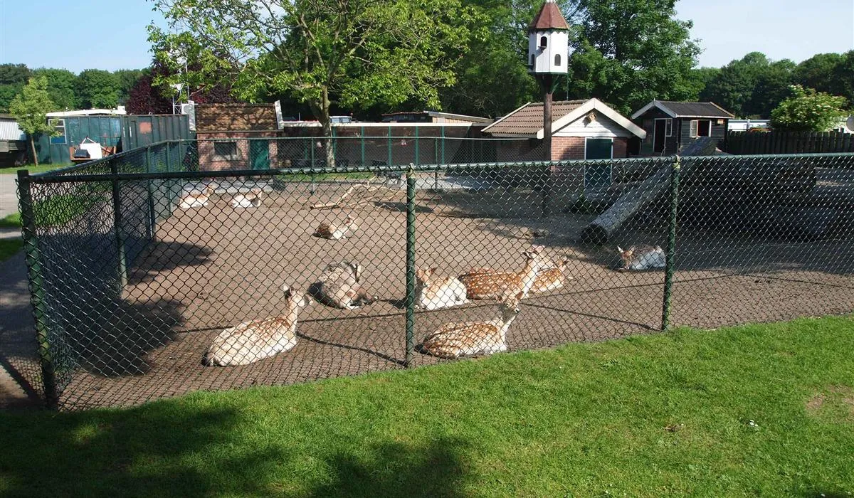 camping-de-krabbeplaat-brielle-nivzd