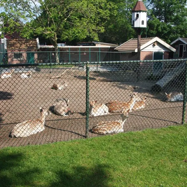camping-de-krabbeplaat-brielle-nivzd