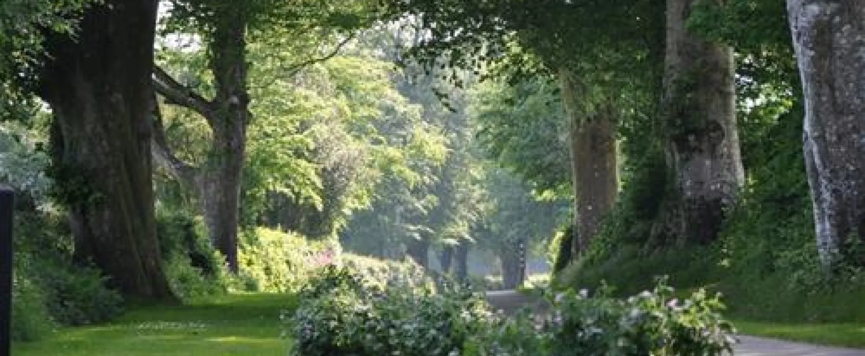 Woodovis Park
