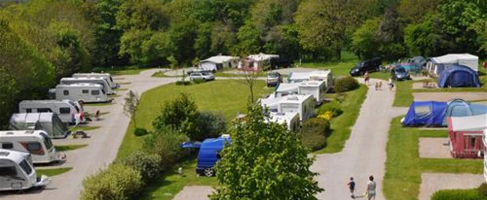 Woodovis Park