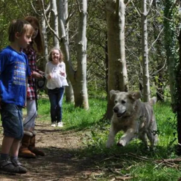 woodovis-park-tavistock-gmixl