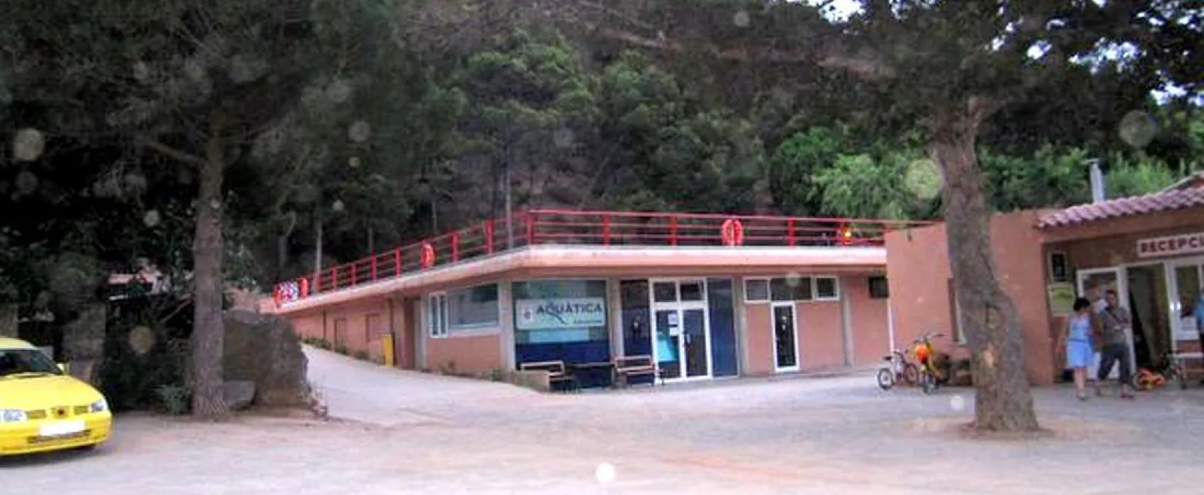 Rifort