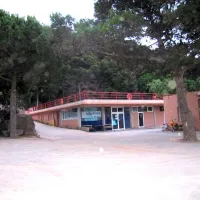 Rifort