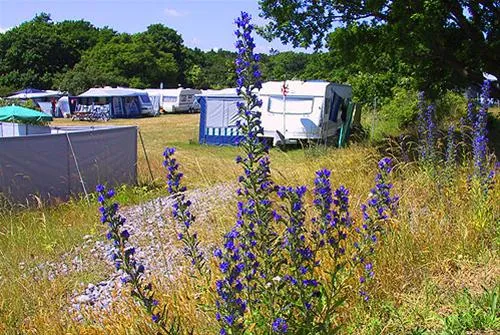 mn-strandcamping--ulvshale-stege-mwzdy