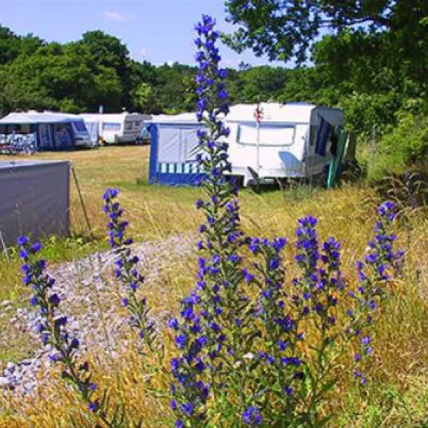 mn-strandcamping--ulvshale-stege-mwzdy