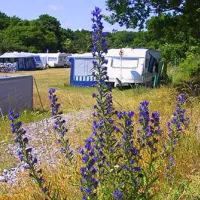 mn-strandcamping--ulvshale-stege-mwzdy