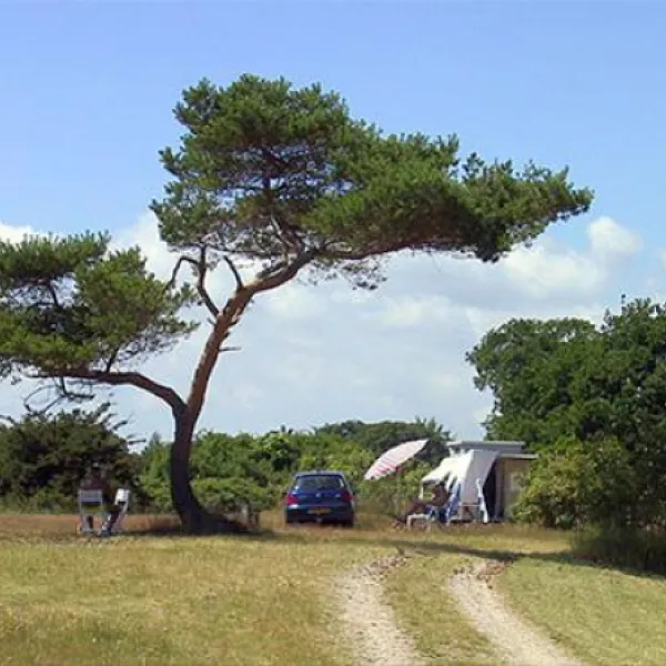 Møn Strandcamping - Ulvshale