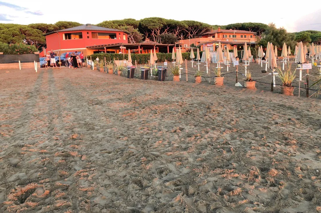 campeggio-int-argentario-albinia-wcimm