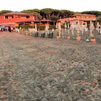 campeggio-int-argentario-albinia-wcimm